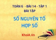 Bài tập Số nguyên tố, Hợp số cơ bản - Toán 6 bài 14 tập 1